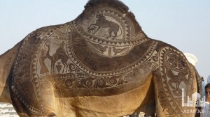 Фестиваль верблюдов Исламад, Пакистан