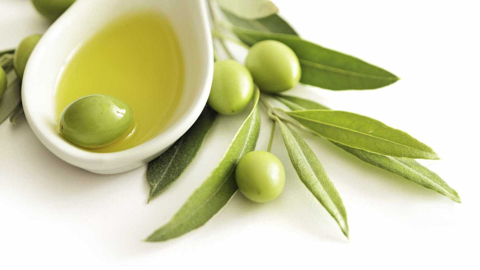 Оливковое масло в Коране и в хадисе
