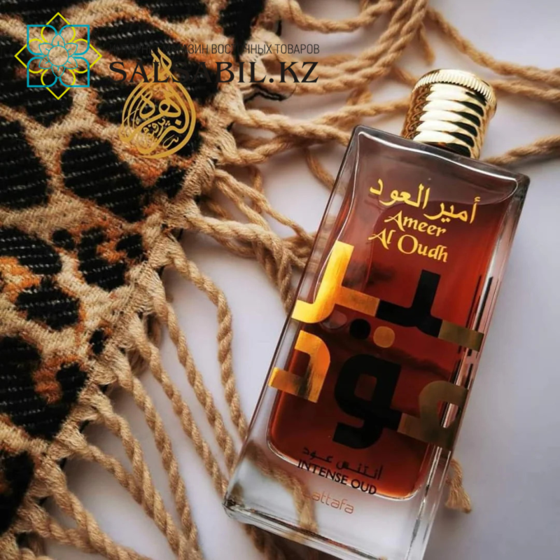 Ameer Al Oudh